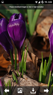 How to install Flowers Wallpapers HD lastet apk for android