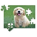 Random Jigsaws logo