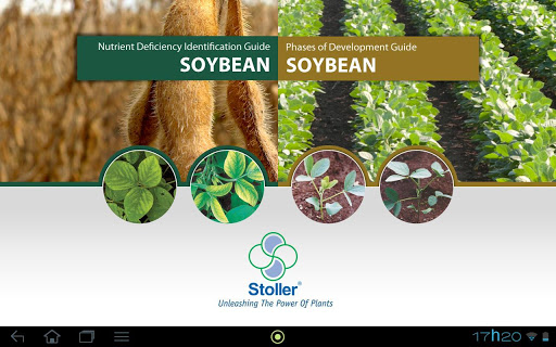 Soybean Stoller