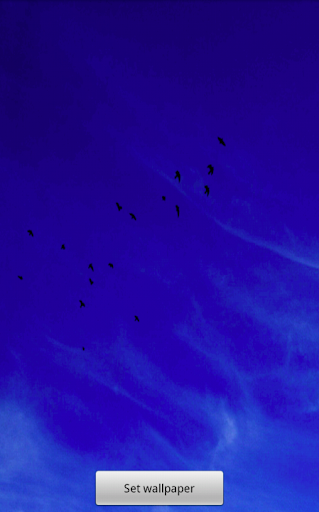 Flying Birds Live Wallpaper