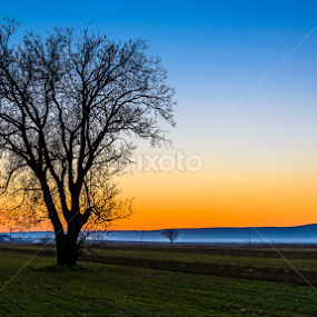 Apusul zilei de azi.. by Catalin-Adrian Neacsu - Landscapes Prairies, Meadows & Fields