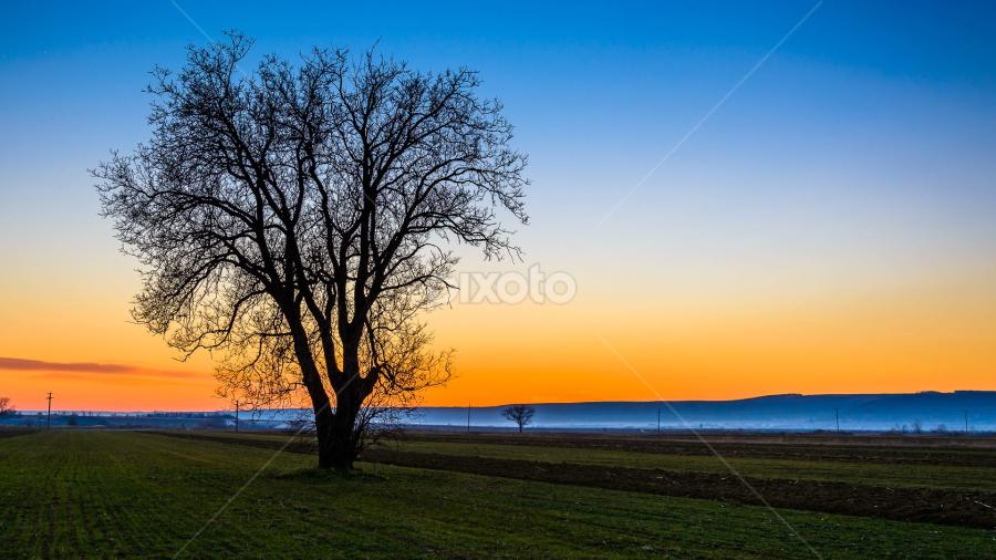 Apusul zilei de azi.. by Catalin-Adrian Neacsu - Landscapes Prairies, Meadows & Fields