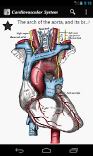 免費下載醫療APP|Gray's Anatomy 2012 Lite app開箱文|APP開箱王