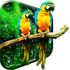 Birds HD Live Wallpaper by AppTrends