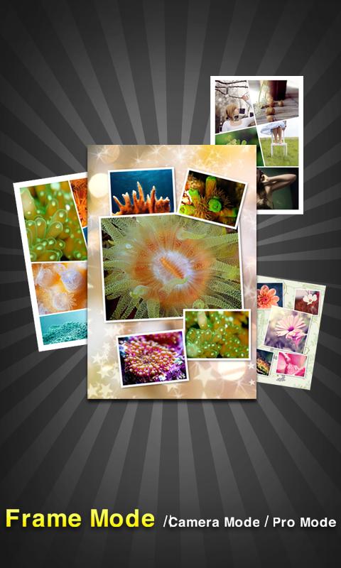 Android application PicFrame Pro - Photo Collage screenshort