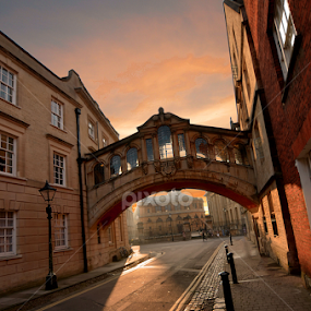 Old town Oxford by Dorota Grolewska - Buildings & Architecture Public & Historical