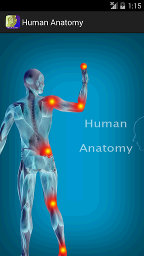 Human Anatomy Guide