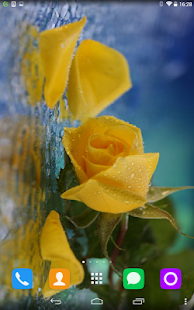 How to install Yellow Rose Live Wallpaper 1.1.1 apk for android
