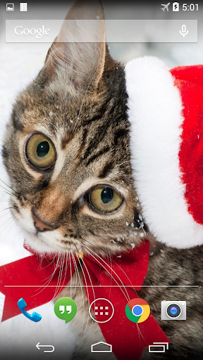 Christmas Cat Live Wallpaper