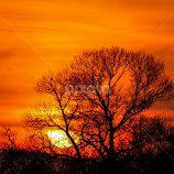Sunset by Daniel Chobanov -  