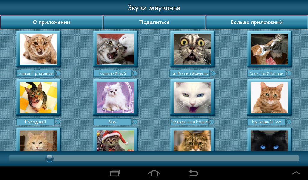 Аудио кошка зовет. Звук приложение. Звук кота для кошки. Звук кошки зовущей кота. Звук мяуканья.