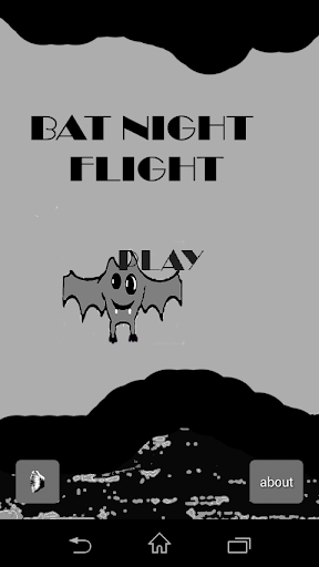 Bat Night Flight