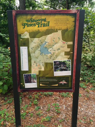 Tyler State Park Whispering Pines Trail Head