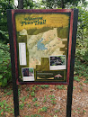 Tyler State Park Whispering Pines Trail Head
