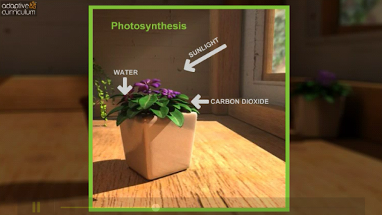 Plants & Photosynthesis Screenshots 3