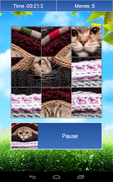 Cats Funny Puzzle poster 8