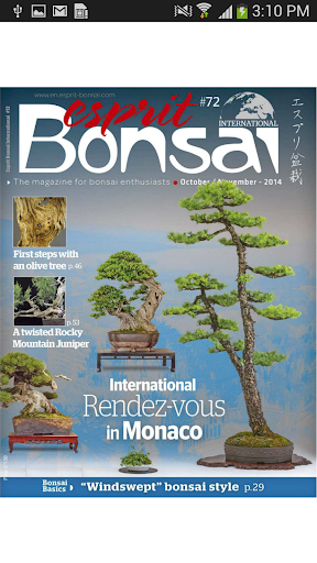 Esprit Bonsai international