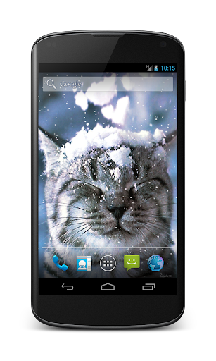 Cat Live Wallpaper