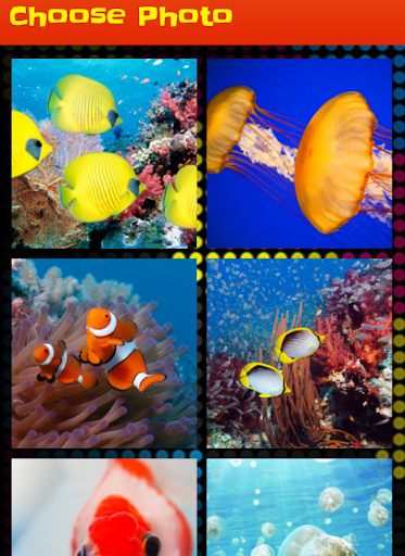 【免費解謎App】Fish Slide Puzzle Game-APP點子