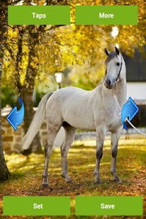 Horses Wallpapers Screenshots 1