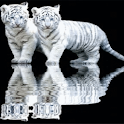 Tiger Cubs Live Wallpaper