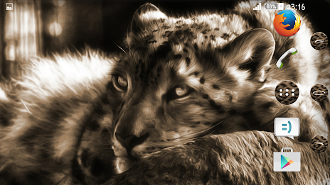 Leopard Xperien Theme poster 9