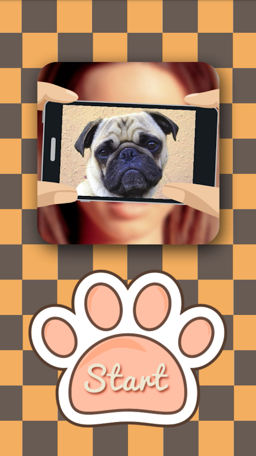Android application What dog am I? screenshort