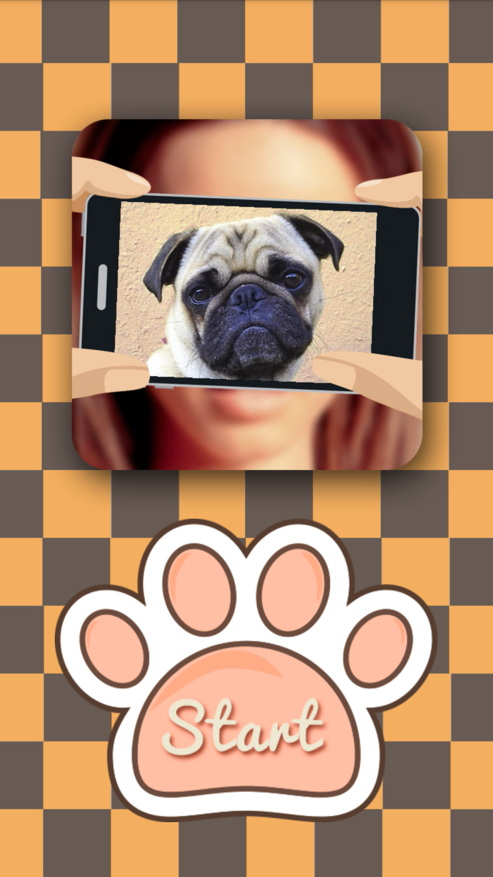 What dog am I? Screen 1