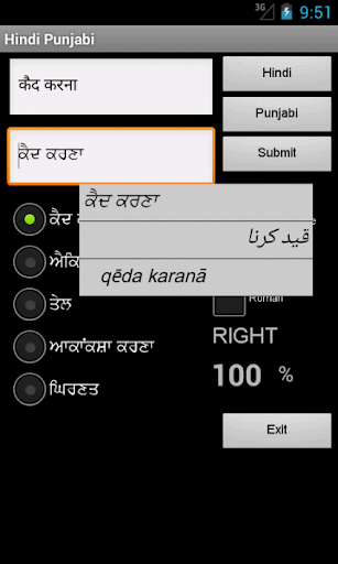 【免費書籍App】Hindi Punjabi Dictionary-APP點子