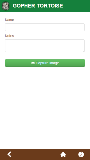    Florida Gopher Tortoise- screenshot  