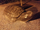 Nybohov Turtle