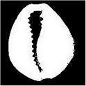 Ask the Oracle logo
