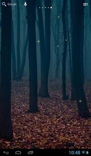 Download Fireflies in the Forest APK