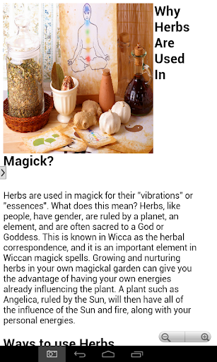 81 Healing and Magickal Herbs
