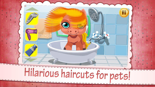 Pet Hair Salon