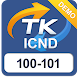 ICND 100-101 Demo
