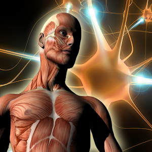ATLAS: Human Body Anatomy.apk 1.0