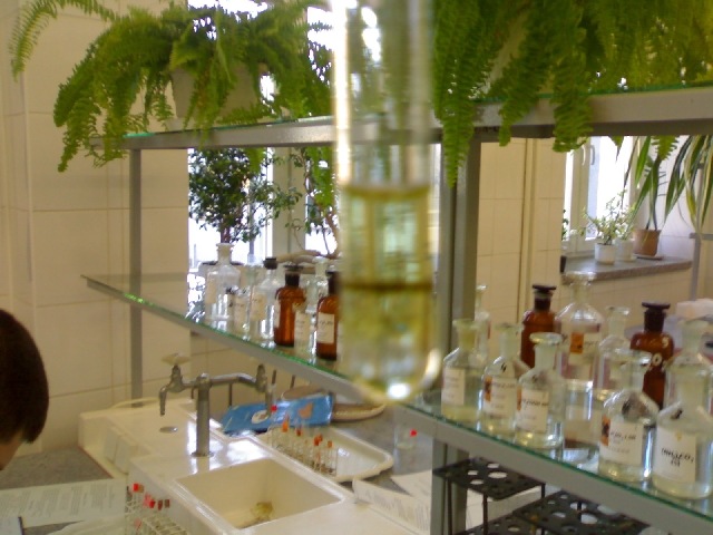[20080513164[4].jpg]