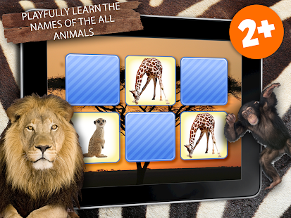 Memory Wildlife Photo For Kids Screenshots 0