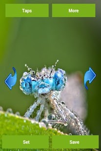 Dragonfly Wallpapers Screenshots 3