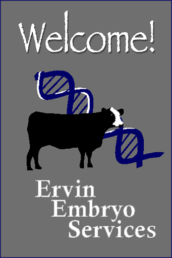 Ervin Embryo