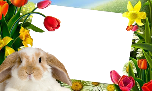 【免費攝影App】Easter Bunny Pictures Frame-APP點子