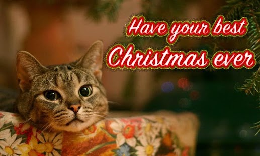 Free Download Christmas Greeting Creator APK for PC