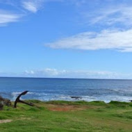 摩埃Moai