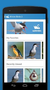 Download iKnow Birds 2 LITE - Europe APK for Android