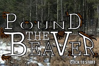 Pound The Beaver APK Download for Android