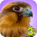iBird Pro