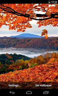 How to download Autumn Live Wallpaper patch 1.0 apk for android