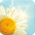 Summer Breeze icon