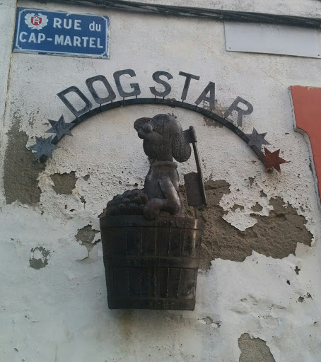 Dog Star, Revel